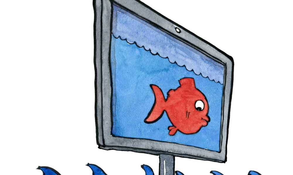 Drawing of a fish on a monitor