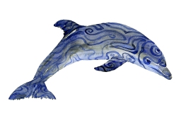 Watercolour of a dolphin