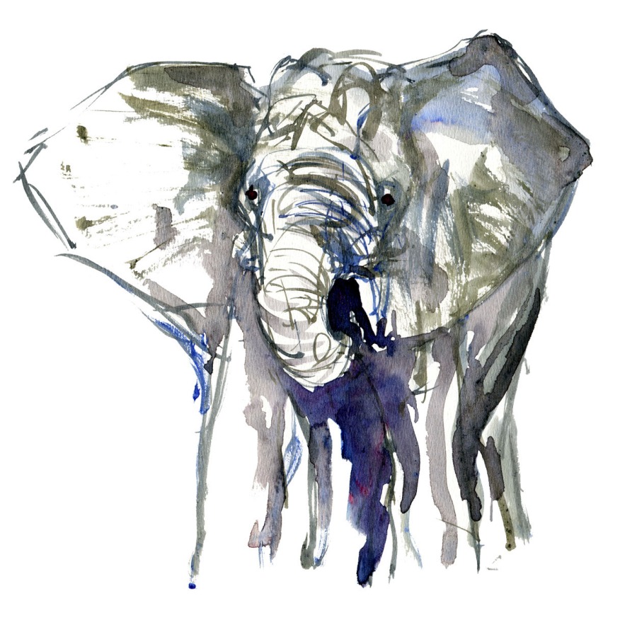 Elephant Watercolor by Frits Ahlefeldt